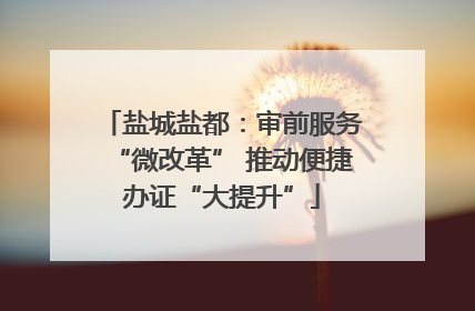 盐城盐都：审前服务“微改革” 推动便捷办证“大提升”