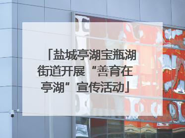 盐城亭湖宝瓶湖街道开展“善育在亭湖”宣传活动