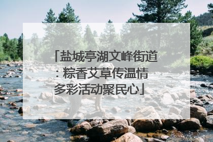 盐城亭湖文峰街道：粽香艾草传温情 多彩活动聚民心