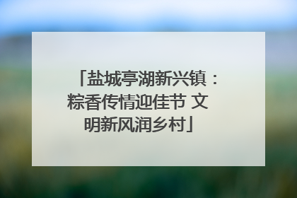 盐城亭湖新兴镇：粽香传情迎佳节 文明新风润乡村