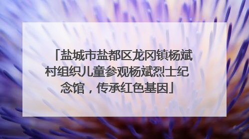 盐城市盐都区龙冈镇杨斌村组织儿童参观杨斌烈士纪念馆，传承红色基因