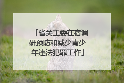 省关工委在宿调研预防和减少青少年违法犯罪工作