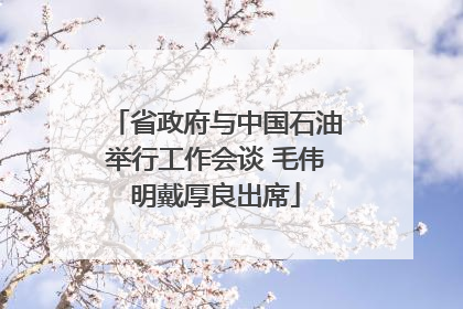 省政府与中国石油举行工作会谈 毛伟明戴厚良出席