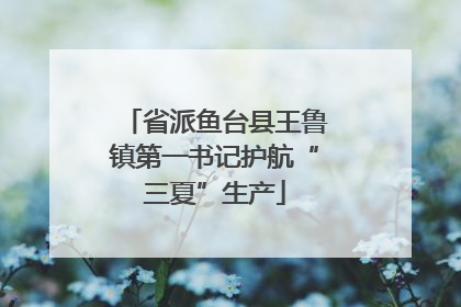 省派鱼台县王鲁镇第一书记护航“三夏”生产