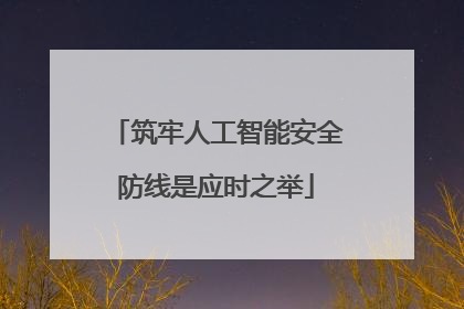 筑牢人工智能安全防线是应时之举