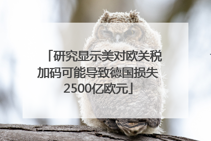 研究显示美对欧关税加码可能导致德国损失2500亿欧元