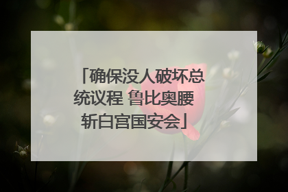 确保没人破坏总统议程 鲁比奥腰斩白宫国安会