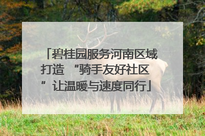 碧桂园服务河南区域打造 “骑手友好社区”让温暖与速度同行
