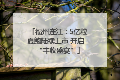 福州连江：5亿粒夏鲍陆续上市 开启“丰收盛宴”