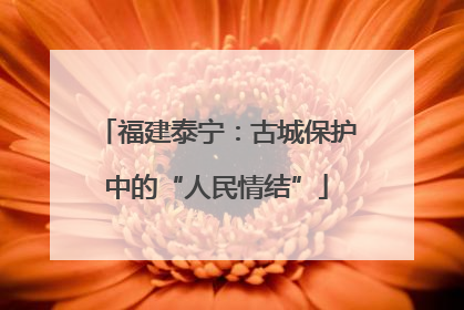 福建泰宁：古城保护中的“人民情结”