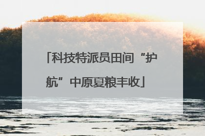 科技特派员田间“护航”中原夏粮丰收