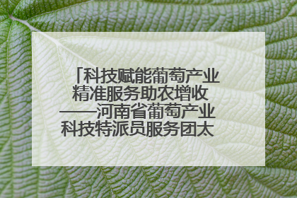 科技赋能葡萄产业 精准服务助农增收——河南省葡萄产业科技特派员服务团太康县科技服务纪实