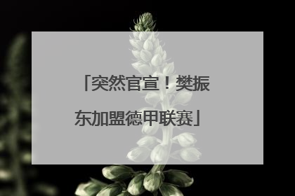 突然官宣！樊振东加盟德甲联赛