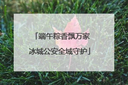 端午粽香飘万家 冰城公安全域守护