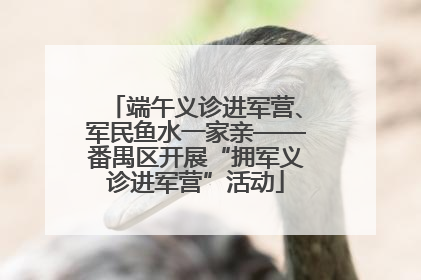 端午义诊进军营、军民鱼水一家亲——番禺区开展“拥军义诊进军营”活动