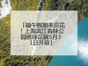 端午假期来赏花！上海滨江森林公园绣球花展5月31日开幕