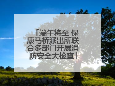 端午将至 保康马桥派出所联合多部门开展消防安全大检查