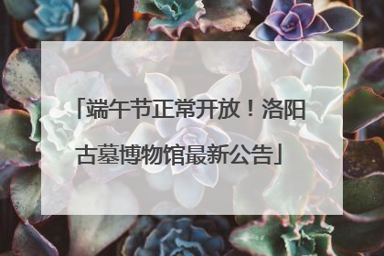 端午节正常开放！洛阳古墓博物馆最新公告