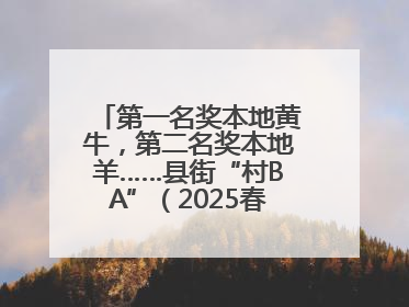 第一名奖本地黄牛，第二名奖本地羊……县街“村BA”（2025春季赛）圆满完赛