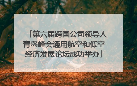 第六届跨国公司领导人青岛峰会通用航空和低空经济发展论坛成功举办