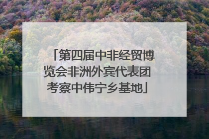 第四届中非经贸博览会非洲外宾代表团考察中伟宁乡基地