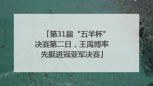 第31届“五羊杯”决赛第二日，王禹博率先挺进冠亚军决赛