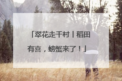 翠花走千村丨稻田有喜，螃蟹来了！