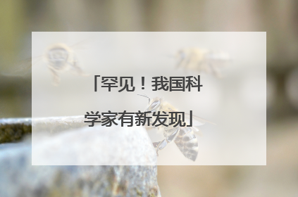 罕见！我国科学家有新发现