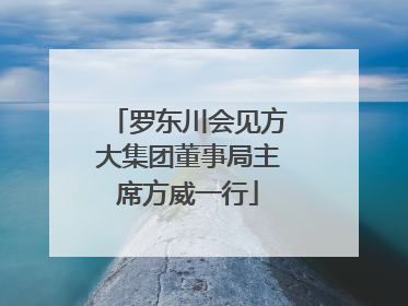 罗东川会见方大集团董事局主席方威一行
