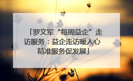 罗文军“每周益企”走访服务：益企走访暖人心 精准服务促发展