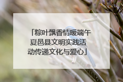 粽叶飘香情暖端午 夏邑县文明实践活动传递文化与爱心