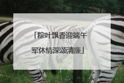 粽叶飘香迎端午 军休情深颂清廉