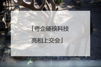 粤企硬核科技亮相上交会