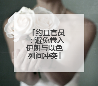 约旦官员：避免卷入伊朗与以色列间冲突
