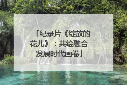 纪录片《绽放的花儿》：共绘融合发展时代画卷