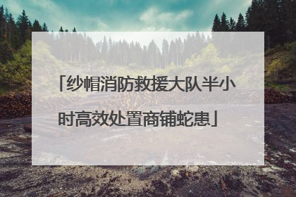 纱帽消防救援大队半小时高效处置商铺蛇患