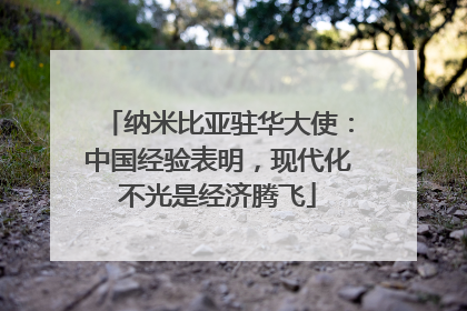 纳米比亚驻华大使：中国经验表明，现代化不光是经济腾飞