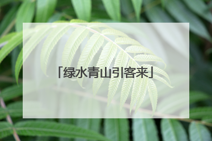 绿水青山引客来