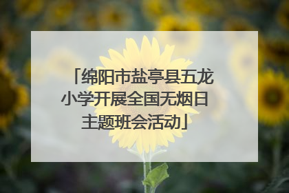 绵阳市盐亭县五龙小学开展全国无烟日主题班会活动