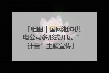 组图｜国网湘潭供电公司多形式开展“计量”主题宣传