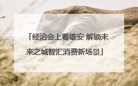 经洽会上看雄安 解锁未来之城智汇消费新场景