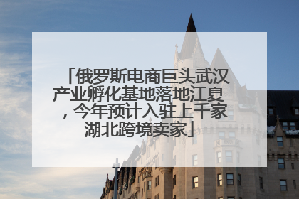 俄罗斯电商巨头武汉产业孵化基地落地江夏，今年预计入驻上千家湖北跨境卖家