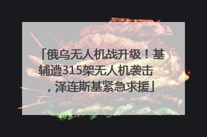 俄乌无人机战升级！基辅遭315架无人机袭击，泽连斯基紧急求援