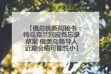 俄总统新闻秘书：待乌克兰回应备忘录草案 俄美乌领导人近期会晤可能性小