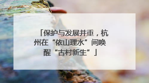 保护与发展并重，杭州在“依山理水”间唤醒“古村新生”