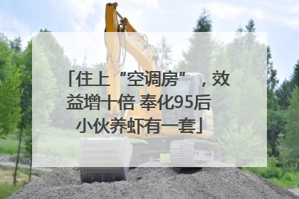 住上“空调房”，效益增十倍 奉化95后小伙养虾有一套