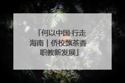 何以中国·行走海南｜侨校飘茶香 职教新发展