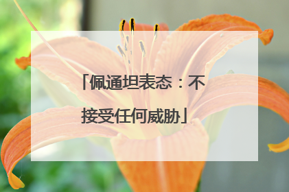 佩通坦表态：不接受任何威胁