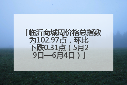 临沂商城周价格总指数为102.97点，环比下跌0.31点（5月29日—6月4日）