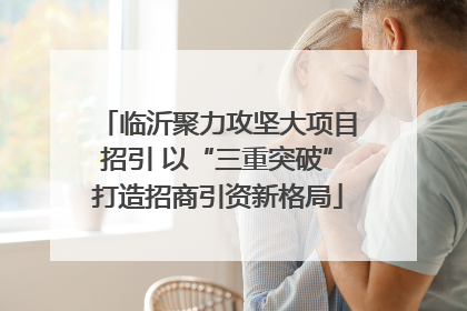 临沂聚力攻坚大项目招引 以“三重突破”打造招商引资新格局